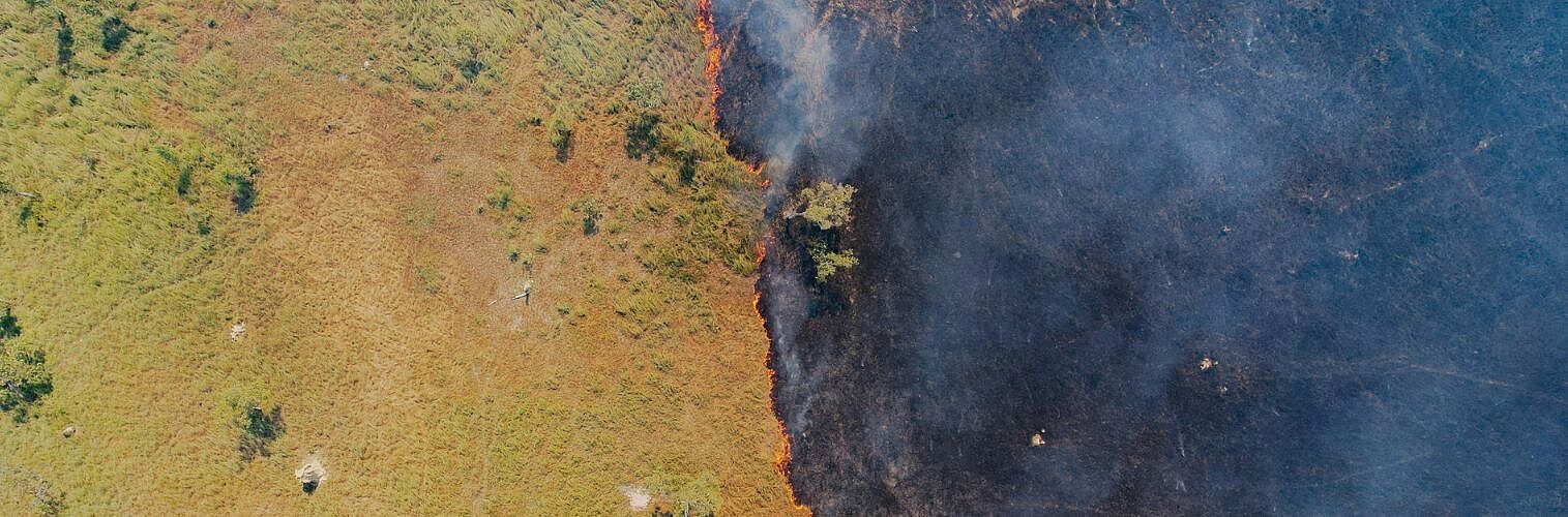 Aerial view of fire creeping across a landscape.