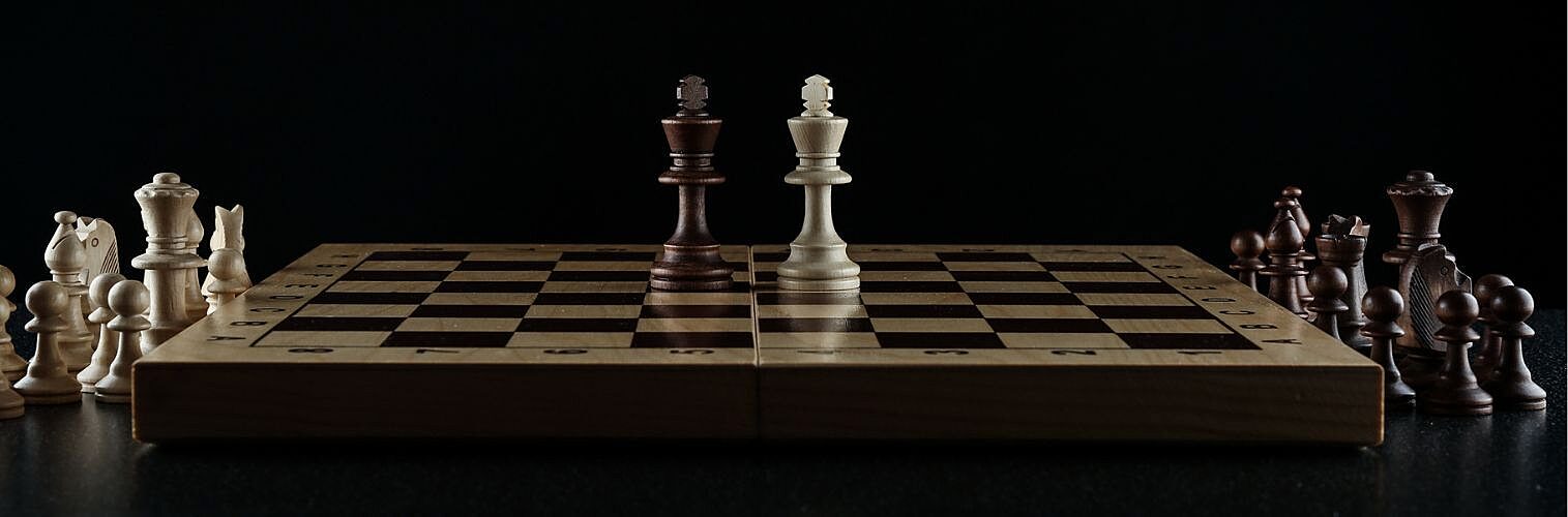 Two chess kings on a chessboard.