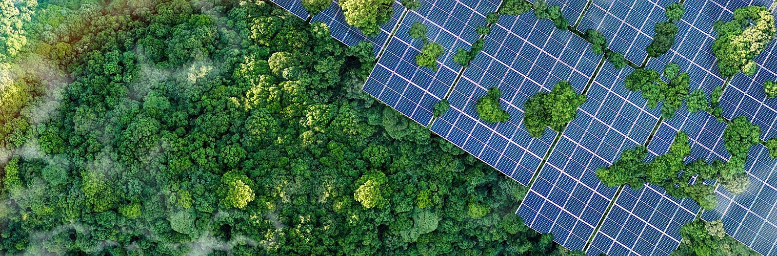 Solar panels installed in the green forest.