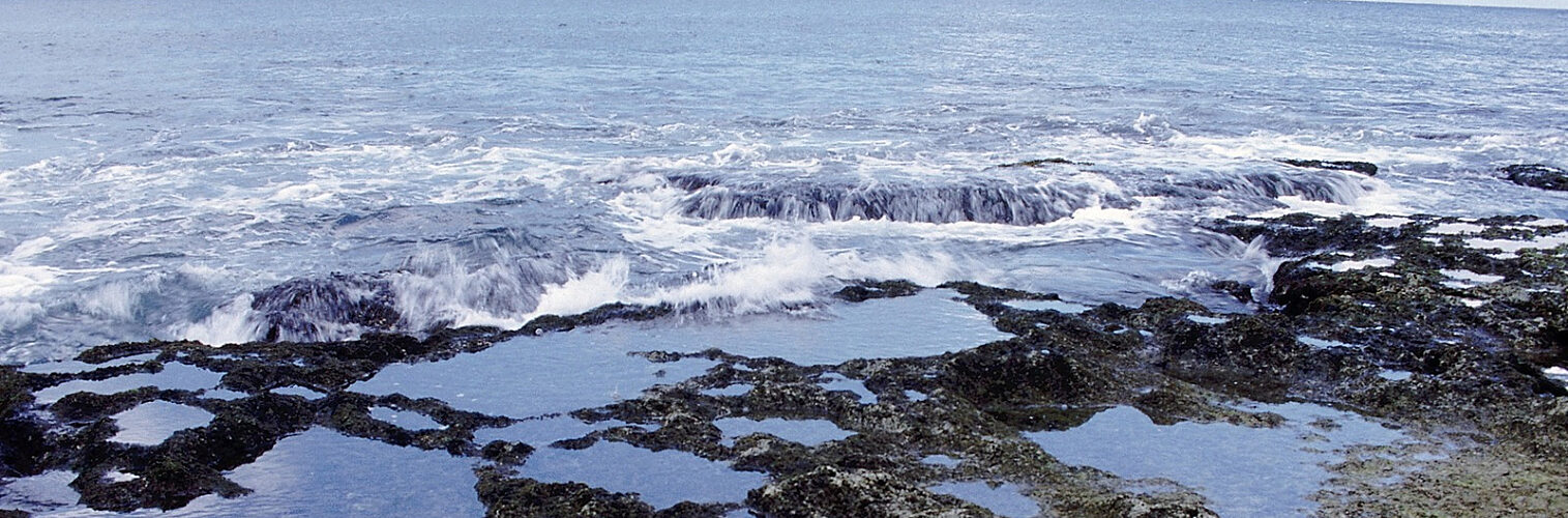 A tide-pool at a rocky shore at low tide.