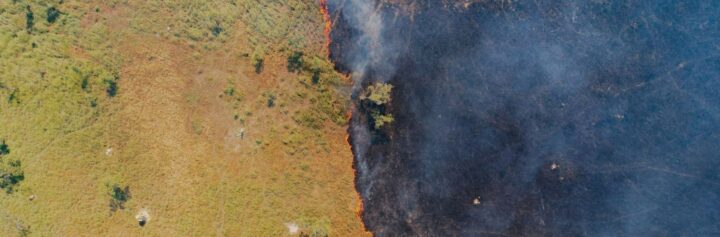 Aerial view of fire creeping across a landscape.