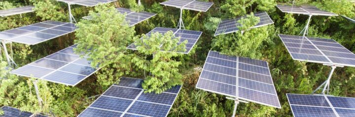 Rows of solar panels installed on frames and angled to capture sunlight. Dense green vegetation sits between the solar panels.