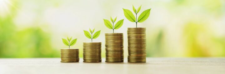 Stacks of coins with plants growing out of them.