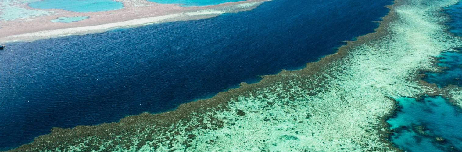 Helping the Great Barrier Reefs protector to focus on what matters