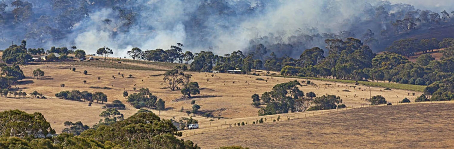 Major incident reviews of the WA bushfires