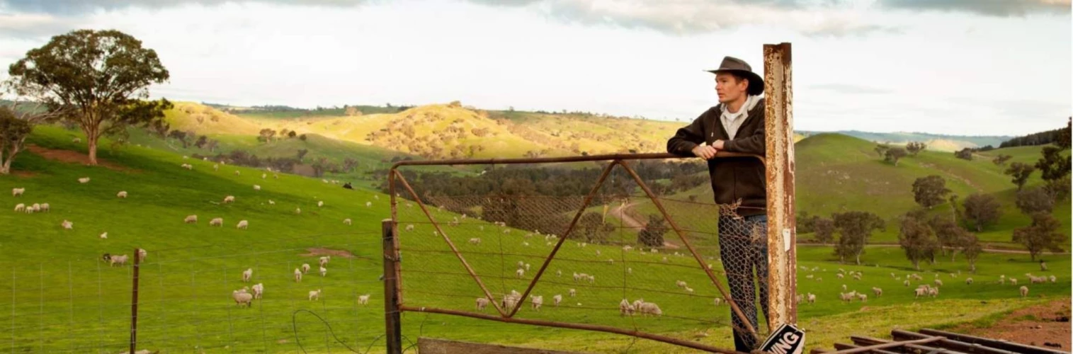 Farmer leaning over a fence in a sheep paddock