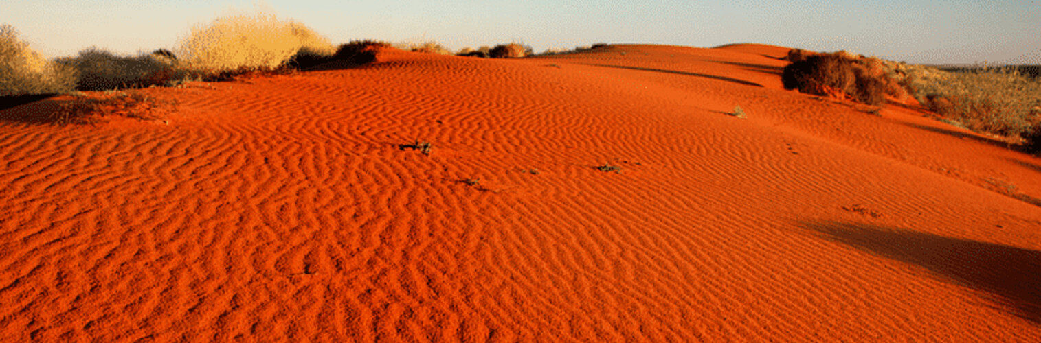 The Australian outback